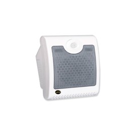 Wall mount two way speaker CW-103